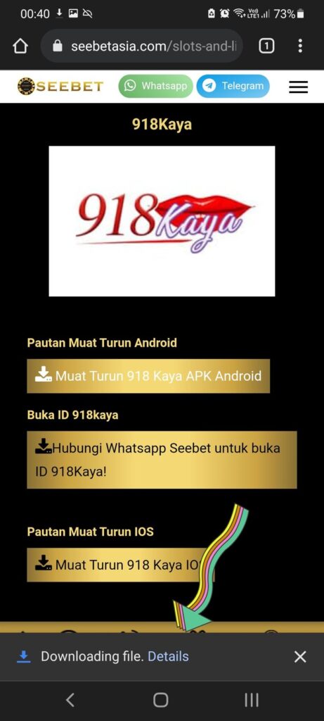 918kaya app downloading files into phone