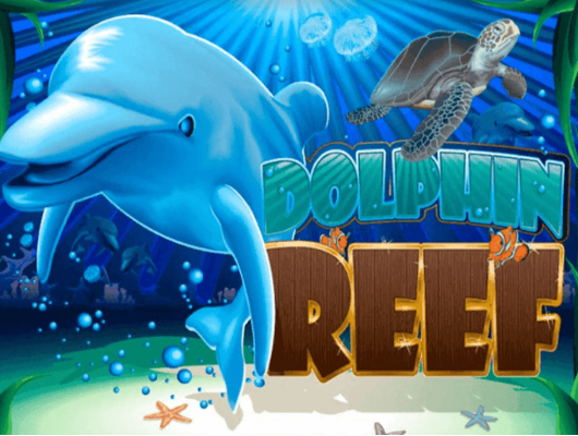 Cara Download Mega888 (IOS / APK) 2026 87 Mega888 Dolphin Reef