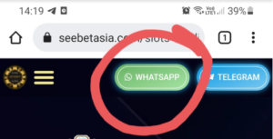 download rollex11 apk2